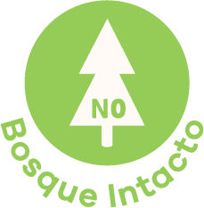 Bosque Intacto