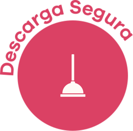 Descarga Segura
